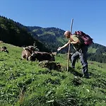 Lingg Oberberg Comfortable Vacation *
