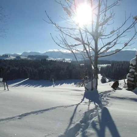 Lingg Oberberg Comfortable Vacation Appartement
