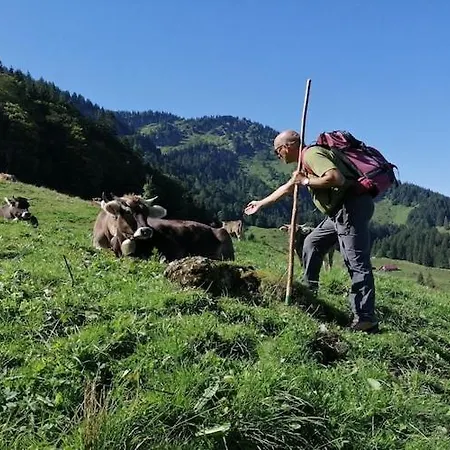 Lingg Oberberg Comfortable Vacation *