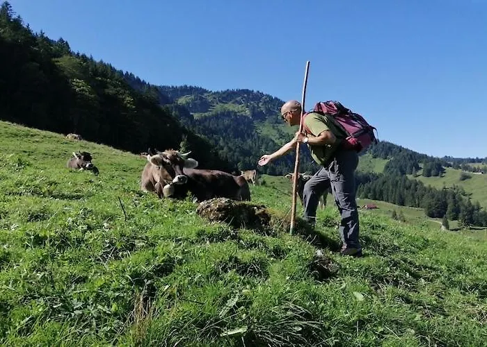 Lingg Oberberg Comfortable Vacation *