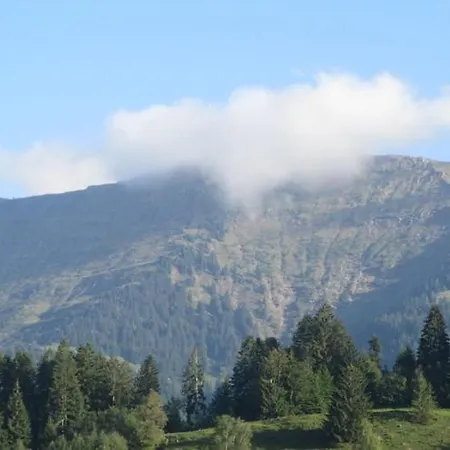 Lingg Oberberg Comfortable Vacation Apartmán