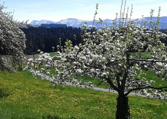 Appartement Lingg Oberberg Comfortable Vacation *